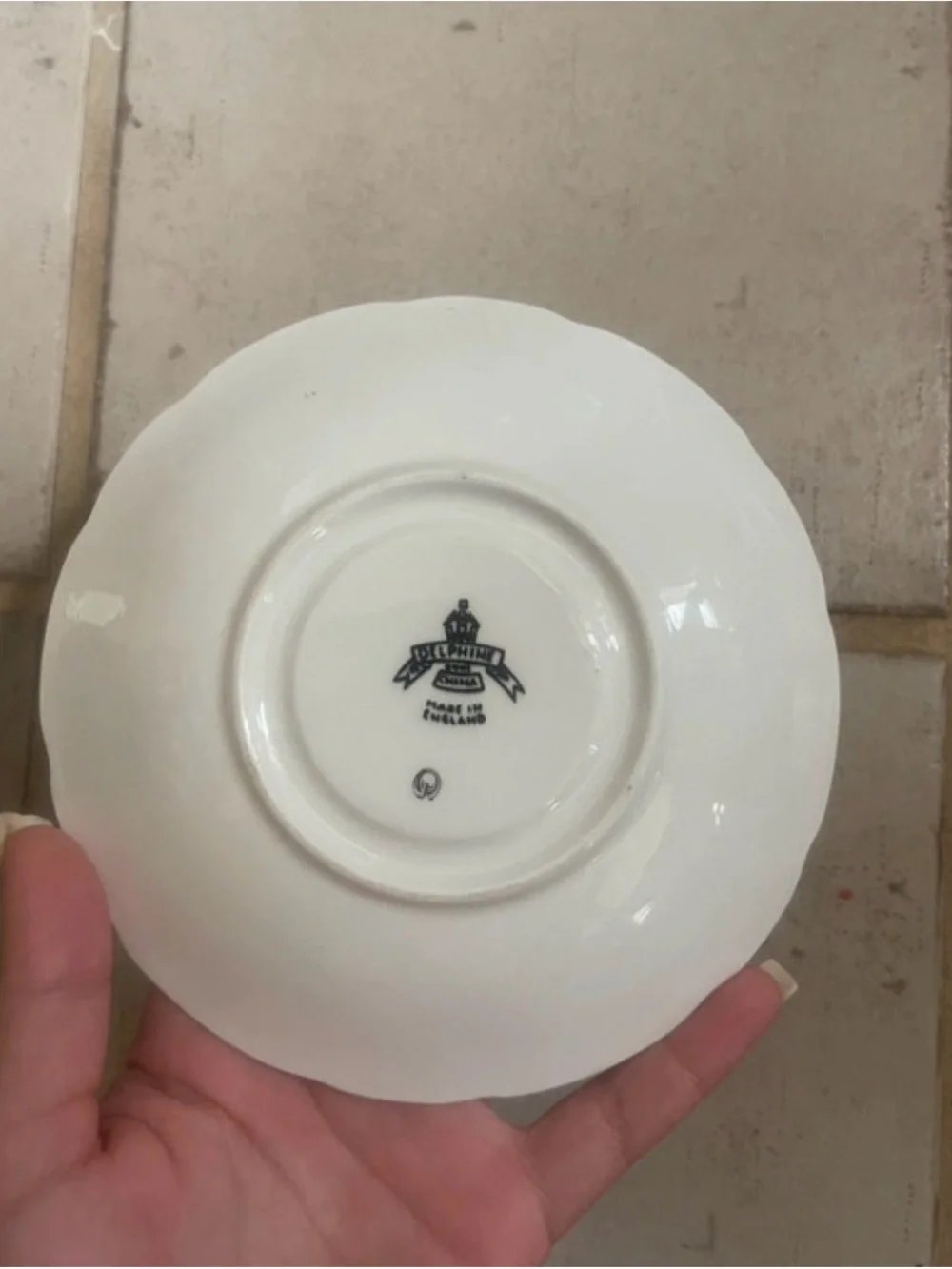 Vintage Delphine Bone China Teacup & Saucer Set